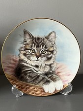 Kitten Appeal Plate Collection