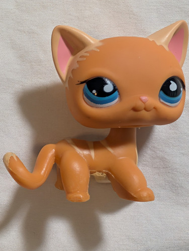 Lps shorthair cat - lps, puzzle