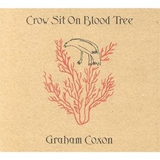 Graham Coxon - Crow Sit on
