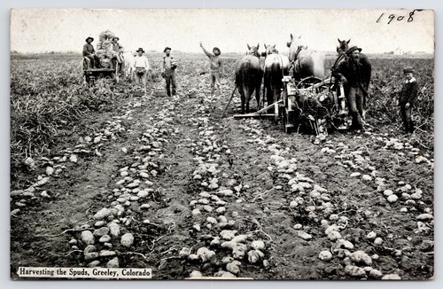 Greeley horse drawn - co, farm