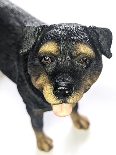 Leonardo rottweiler dog - leonardo,