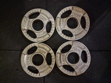 1.25kg Olympic Weight Plates X