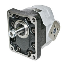 Casappa Cast Iron Gear Motor