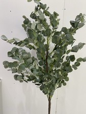 180cm Green Eucalyptus