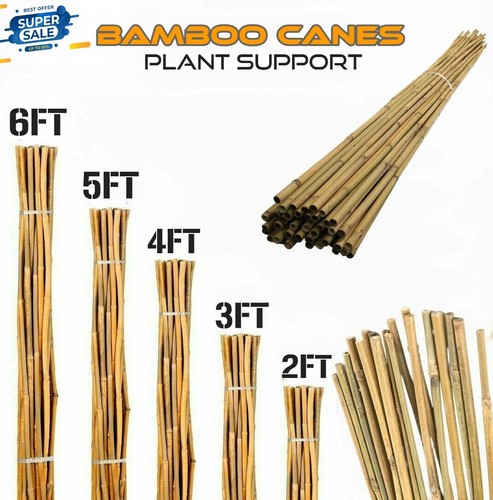 Bamboo canes garden thick - bamboo,