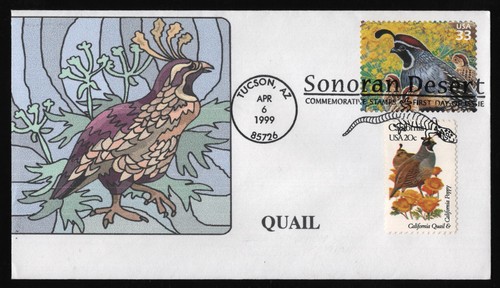 3293d 33c gambel quail - 33c,
