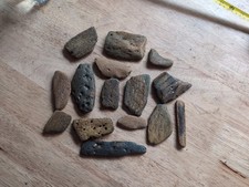 Fossilized Marine Bone