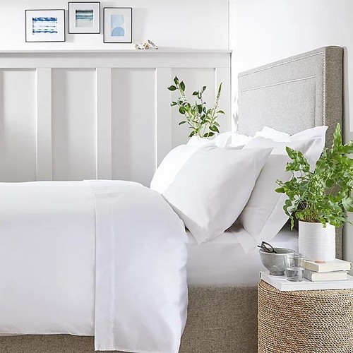 The white company - company, egyptian