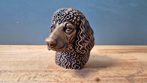 Irish water spaniel bust - irish,