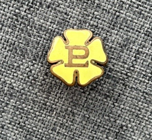Primrose league vintage enamel - primrose,