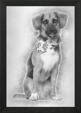 Dog cross breed with a bea