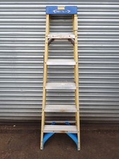 WERNER FIBREGLASS SWINGBACK 6