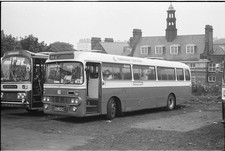 35mm black and white negative - 35mm,