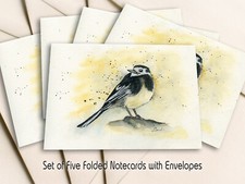 Pied Wagtail Bird Notecards