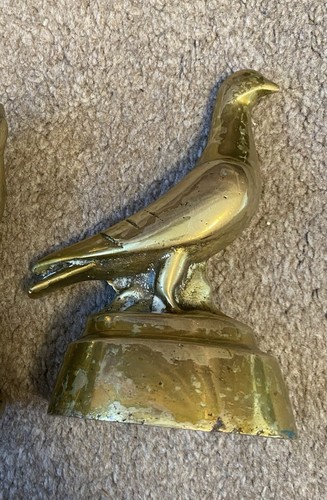 Vintage heavy brass - brass, pigeon
