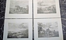 Coursing set 4 - set,