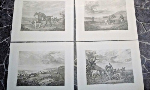 Coursing set 4 - set,