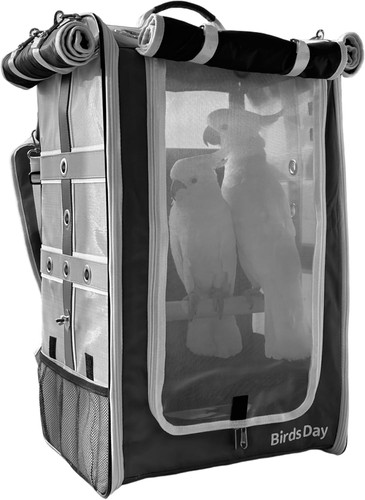 Cockatoo carrier - cockatoo,