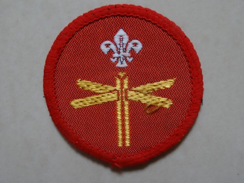 Cub scout proficiency badge - cub,