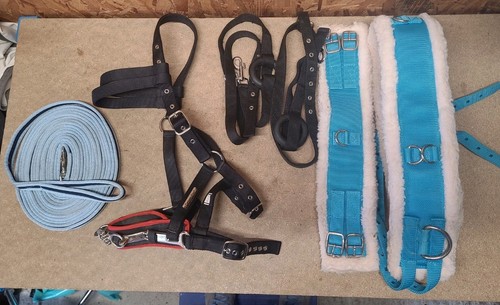 Lunging joblot full size - lunging, joblot,full