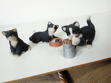 Black and white cats, ornaments, Leonardo