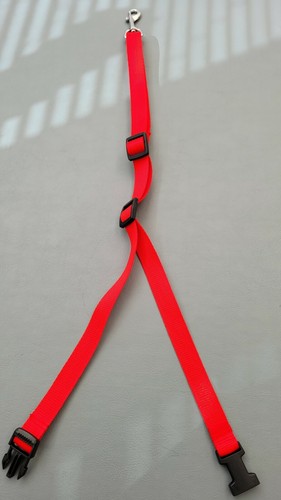 Speed noose dog - , groomer