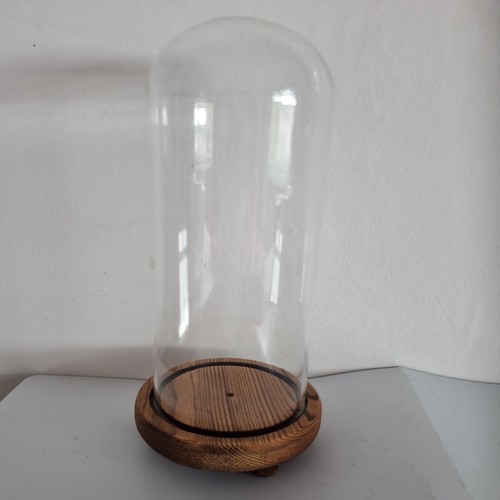 Glass dome display with - display, wooden