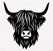 highland cow Camper Van