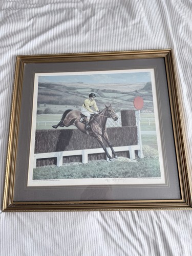 Arkle horse racing framed - arkle,