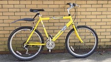 Raleigh Max Aero GS Mountain