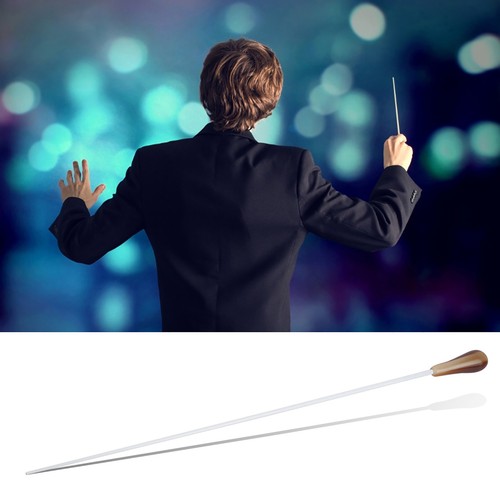 Professional conductor baton - professional,