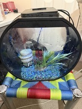 Fish Tank with Light With Stones