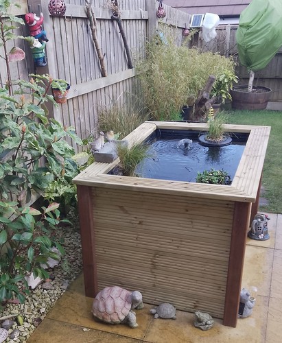 Large raised garden - large,
