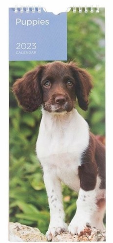 Puppies mini slim calendar - puppies,