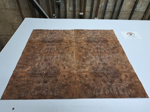 Burr walnut wood - burr,