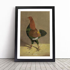 Fighting Cock Vol.1 By John