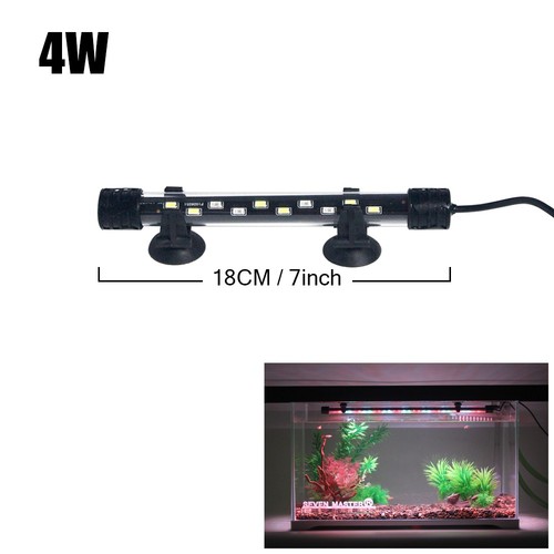 Aquarium fish tank - aquarium,
