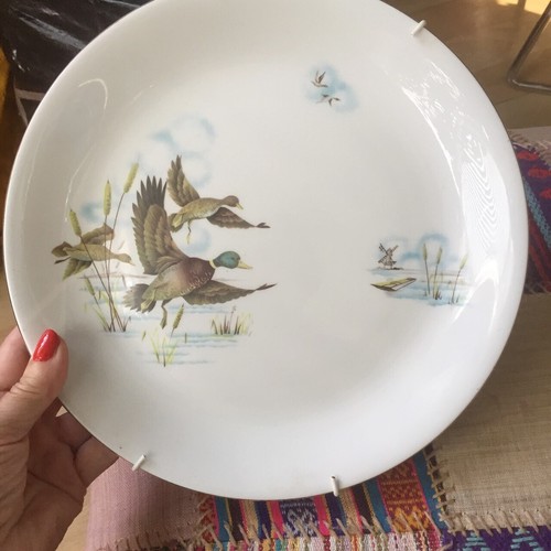 Vintage flying ducks - vintage,