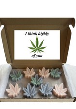Wax melt gift set - gift, novelty