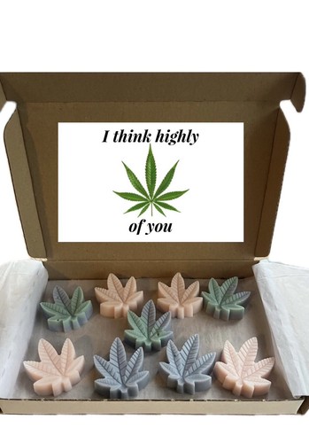 Wax melt gift - wax,