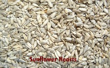 Sunflower Hearts/Kernels for