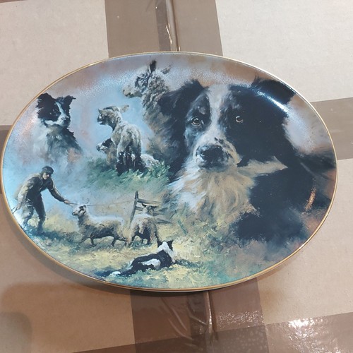 Davenport pottery limited - pottery,