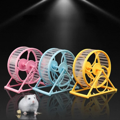 Wheel running exercise - wheel, scroll