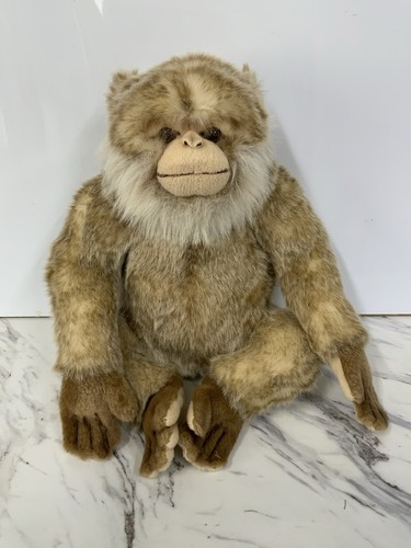 Hansa barbary macaque salem - hansa,
