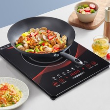 Portable Electric Induction