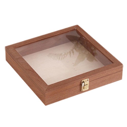 Insect collecting box boxes - collecting,