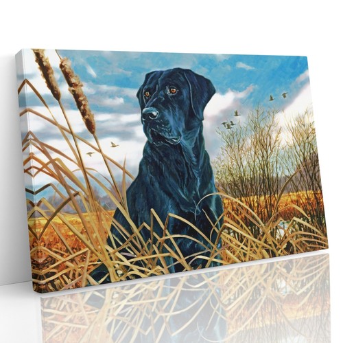 Black labrador dog - dog, scenic