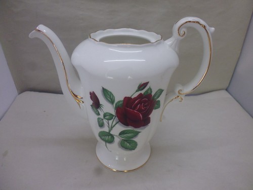 Paragon fine bone - paragon,