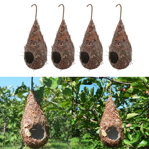 Water drop bird nest - 4x,