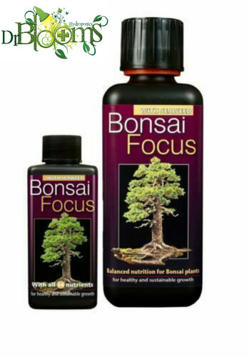 Bonsai focus liquid - focus,